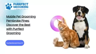 Best Mobile Pet Grooming in Pembroke Pines