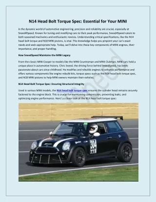 N18 MINI Pistons