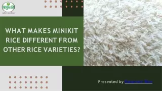 what makes minikit rice different from other rice varieties