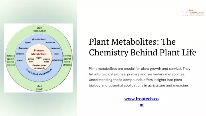 plant metabolites the chemistry behind plant life