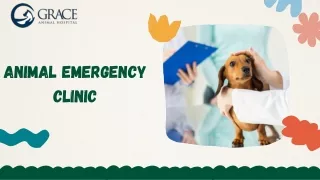 How to Prepare Your Pet for a Visit to an Animal Emergency Clinic