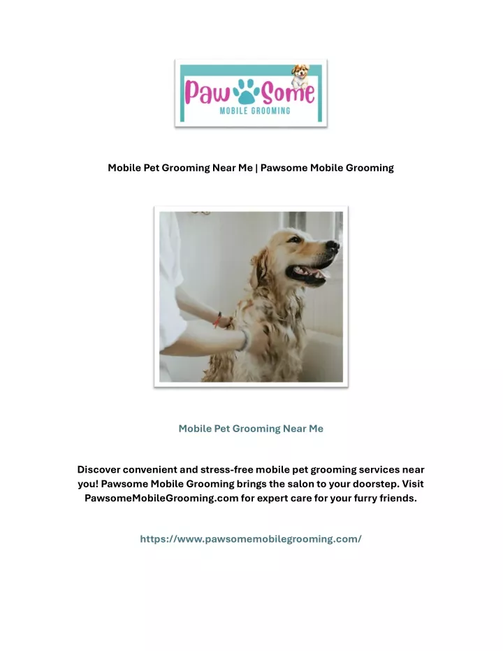 mobile pet grooming near me pawsome mobile