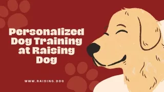 Personalized Dog Training Solutions from Raising Dog