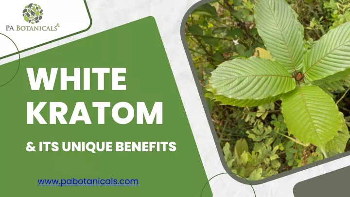 white kratom