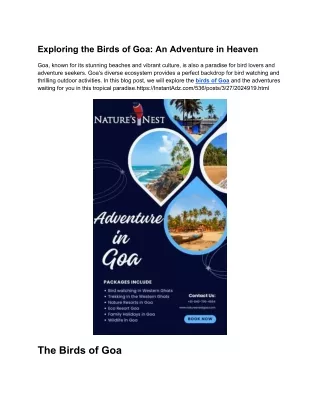 exploring the birds of goa an adventure in heaven