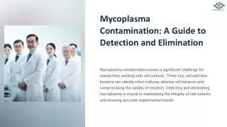 mycoplasma contamination a guide to detection