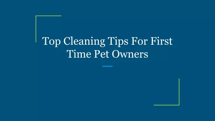 top cleaning tips for first time pet owners