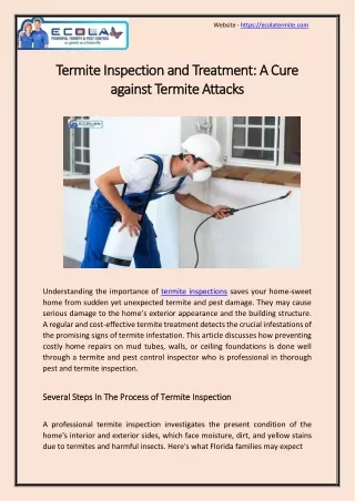 Termite Inspection and Treatment: A Cure against Termite Attacks