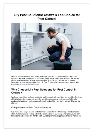 Unlock the Best Pest Control in Ottawa with Lily Pest Solution