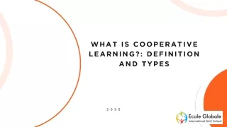 WHAT IS COOPERATIVE LEARNING DEFINITION AND TYPES