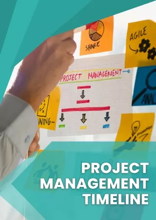 Project Management Timeline