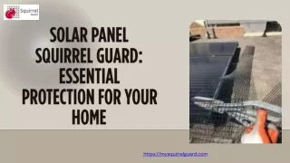 Solar Panel Squirrel Guard Essential Protection for Your Home