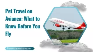 pet travel on avianca what to know before you fly
