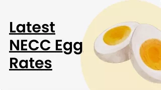 latest necc egg rates