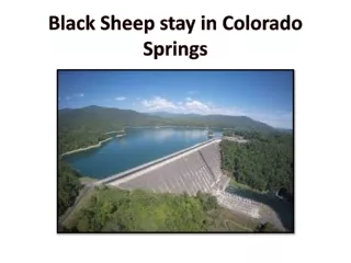 Black Sheep stay in Colorado Springs