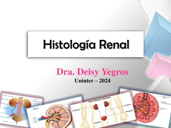 histolog a renal
