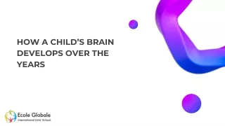 how a child s brain develops over the years