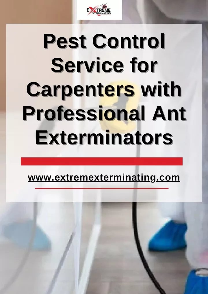 pest control pest control service for service