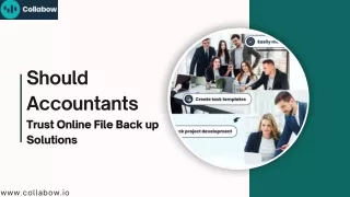 Should Accountants Trust Online File Back up Solutions