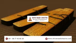 Shiva Nadi Astrologer in Madurai