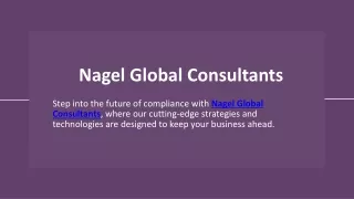 Nagel Global Consultants
