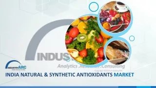 India Natural & Synthetic Antioxidants Market (2024 - 2030)_Sample Extract
