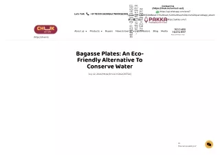 Bagasse Plates An Eco-Friendly Alternative to Conserve Water