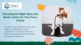 Choosing the Right Spay and Neuter Clinic for Your Furry Friend