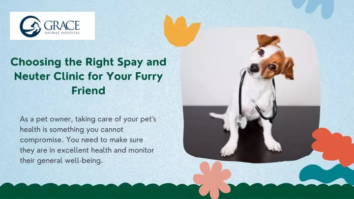 choosing the right spay and neuter clinic