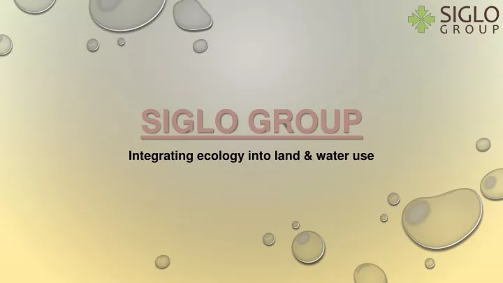 siglo group