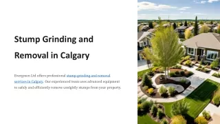 Stump Grinding and Removal in Calgary - Evergreen Ltd