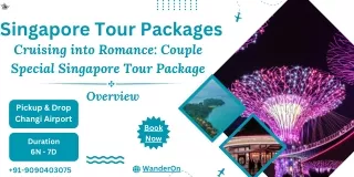 Romantic Escape Singapore Tour Package for Couples