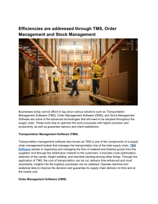 Efficiencies are addressed through TMS, Order Management and Stock Management.docx