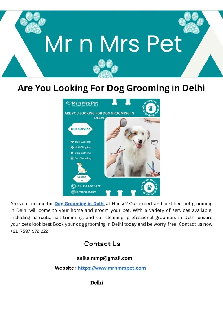 Dog Grooming In Delhi