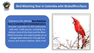 Unforgettable Bird Watching Tour