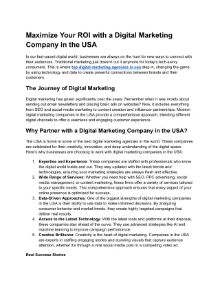 Maximize Your ROI with a Digital Marketing Company in the USA (2)
