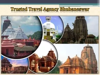 Trusted Travel Agency Bhubaneswar