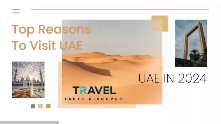 top reasons to visit uae