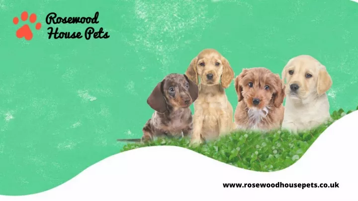 www rosewoodhousepets co uk