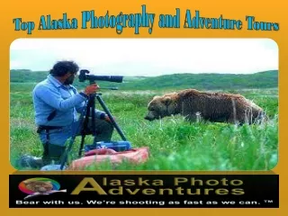 Top Alaska Photography and Adventure Tours