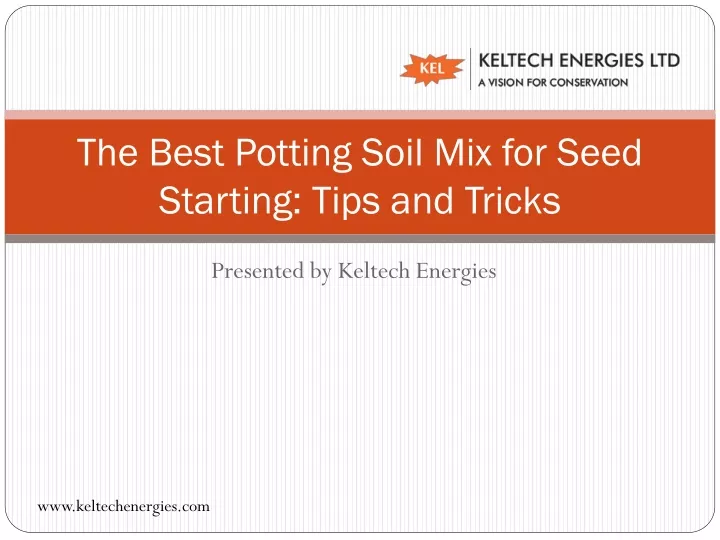 the best potting soil mix for seed starting tips and tricks