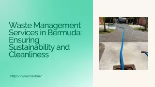 Waste Management Services in Bermuda Ensuring Sustainability and Cleanliness