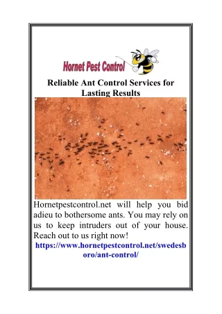 Reliable Ant Control Services for Lasting Results1