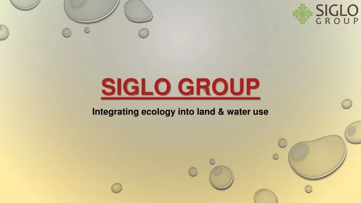 siglo group