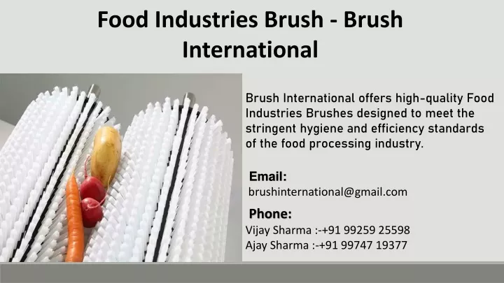 food industries brush brush international