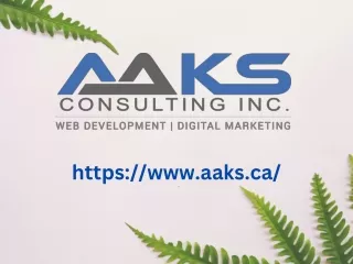 Social Media Marketing Canada