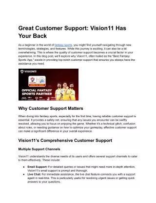 great customer support vision11 has your back