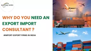 why do you need an export import consultant