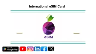 international esim card