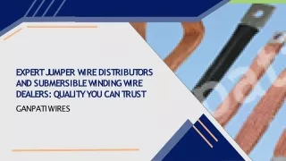 Expert Jumper Wire Distributors and Submersible Winding Wire Dealers Quality You Can Trust